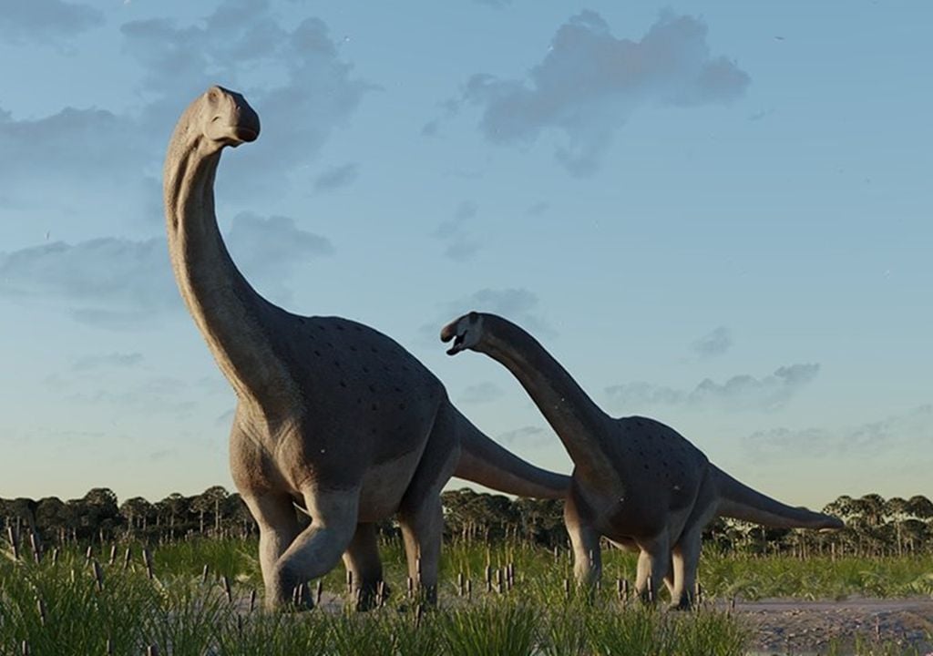 El CONICET descubre en la Patagonia un gran tesoro prehistórico: el Titanosaurio