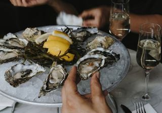 Conoce 6 Restaurantes con ostras en Valparaíso, Viña del Mar y Chiloé