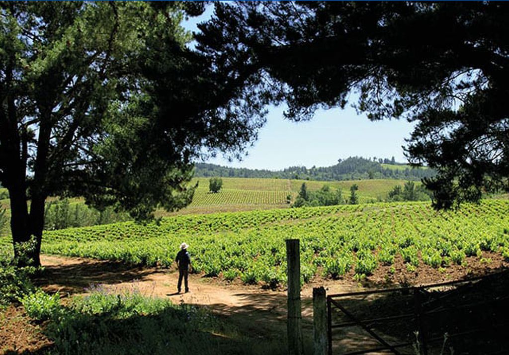 itata itata