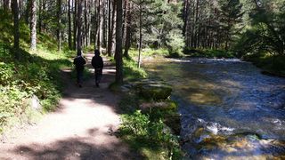 Conoce el río Eresma en visita guiada