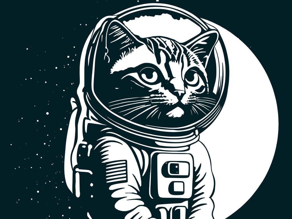 En plena carrera espacial, mientras potencias como Rusia y Estados Unidos enviaban perros o monos, Francia decidió innovar utilizando gatos.