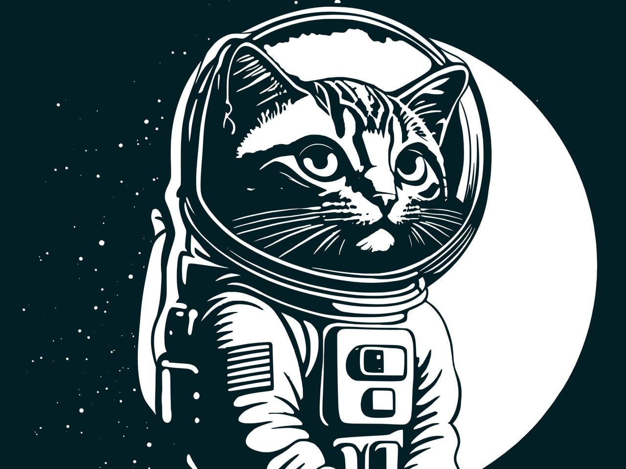 No auge da corrida espacial, enquanto potências como a Rússia e os Estados Unidos enviavam cães ou macacos, a França decidiu inovar recorrendo a gatos.