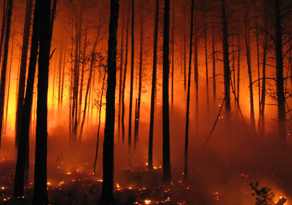 incendios, clima, cambio climatico, bosques, cultivos, argentina, ola de calor incendios, clima, cambio climatico, bosques, cultivos, argentina, ola de calor