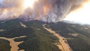 Consejos para evitar incendios forestales