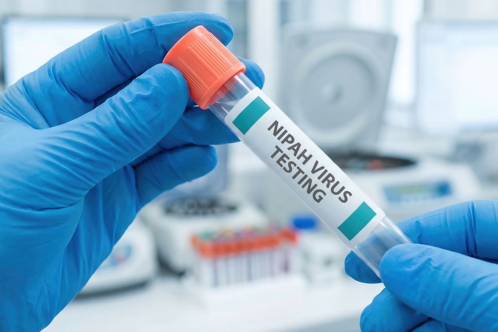 La OMS destacó que el virus Nipah puede transmitirse de animales a humanos, principalmente a través de murciélagos frugívoros.