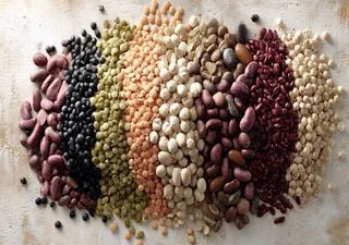 Consumidores valorizam os alimentos que combinam benef&iacute;cios para a sa&uacute;de. Prote&iacute;nas de origem vegetal est&atilde;o em alta