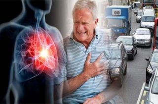 Contaminación atmosférica y problemas cardiovasculares