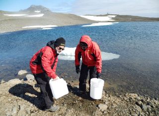 Contaminantes emergentes en la Antártida
