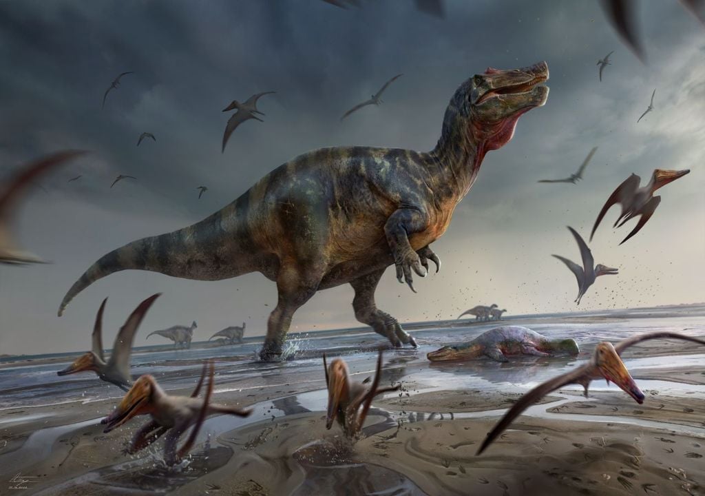 Illustration du spinosauridé White Rock par Anthony Hutchings Crédit : UoS, A Hutchings.