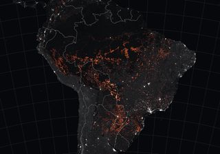 Continúa la deforestación desmesurada de la Selva Amazónica en Brasil