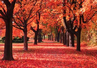 Continúan las altas temperaturas y lluvias solo en los extremos de Chile