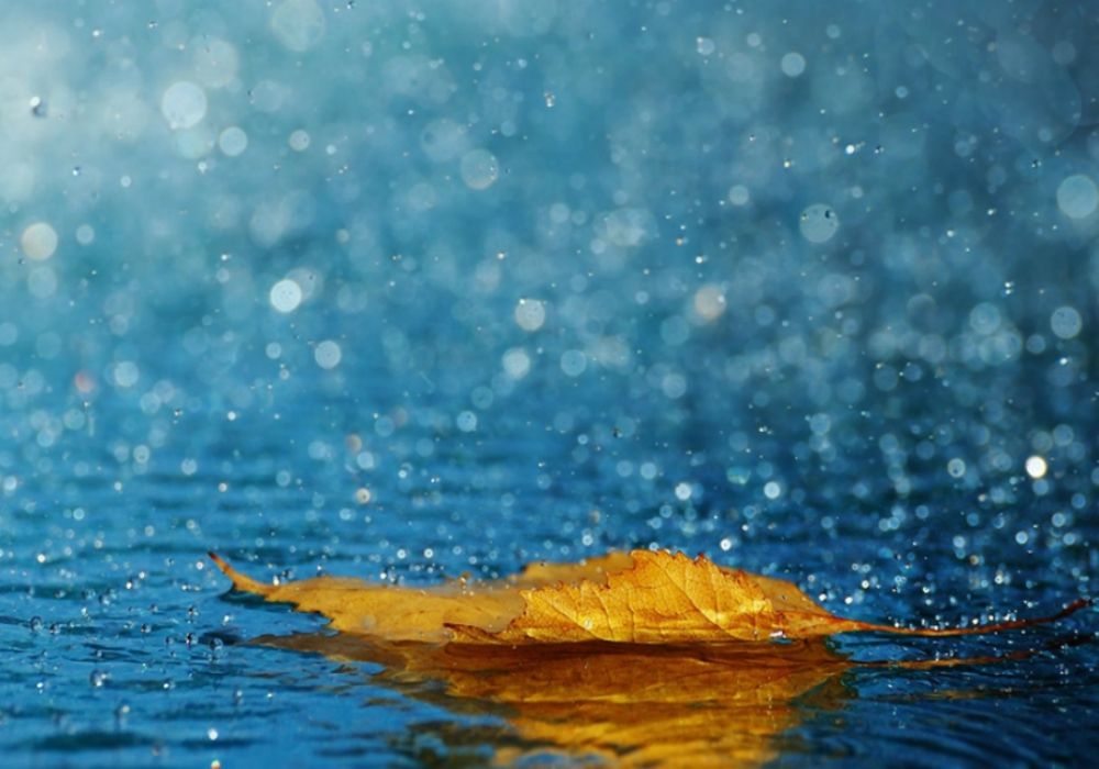 Otoño lluvias record temperatura Argentina