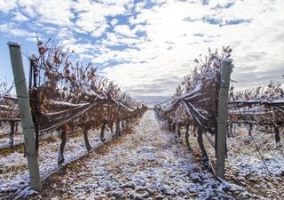 Contrastes: frío en el sur, calor en el norte, nieve en el oeste