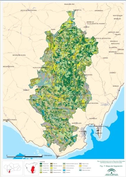 Convenio Para Investigar El Efecto Del Cambio Climático En Los Alcornocales Mapa de vegetación del Parque Natural de los Alcornocales. Fuente: Junta de AndalucíaLos bosques mediterráneos son considerados sistemas muy vulnerables a los distintos componentes del cambio global, particularmente al cambio climático y a la invasión por especies exóticas. La colaboración de la Fundación de la Fundación en este proyecto se centra en dos aspectos fundamentales. Por un lado, facilita los terrenos para llevar a cabo el proyecto y por otro, pretende complementar el proyecto desarrollando actuaciones de divulgación que acerquen la investigación científica en materia de bosques a la sociedad, y más concretamente a las generaciones más jóvenes.Fuente: Diario de Jerez