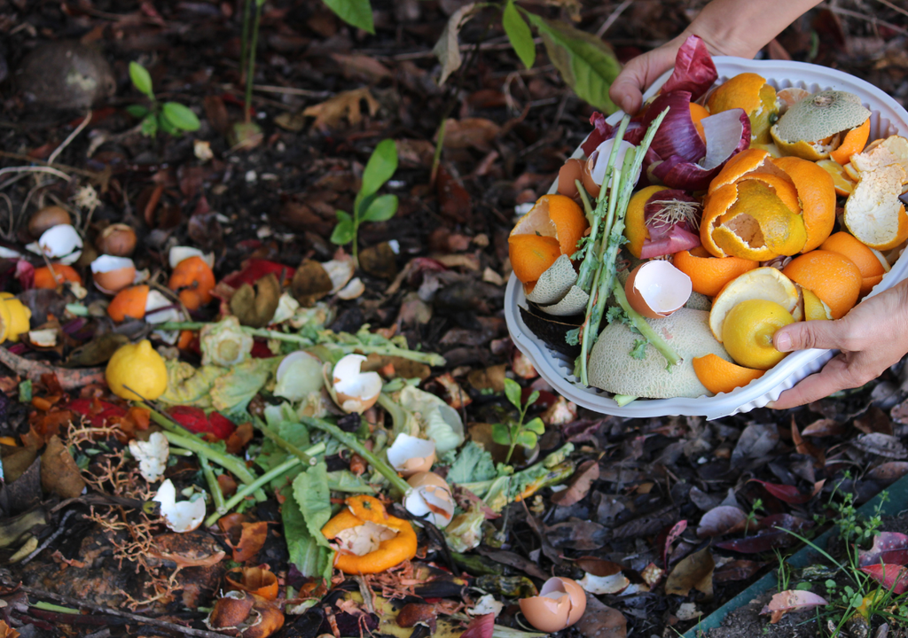 Restos de frutas, verduras y cáscaras se transforman en materia prima para el compost: un gesto simple que reduce residuos y nutre la tierra. Restos de frutas, verduras y cáscaras se transforman en materia prima para el compost: un gesto simple que reduce residuos y nutre la tierra.
