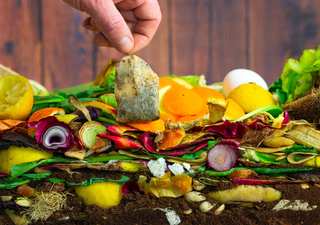 Convierte tu basura org&aacute;nica en oro para tus plantas: la gu&iacute;a para hacer composta casera sin malos olores