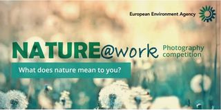 Convocatoria del concurso de fotografía NATURE@work