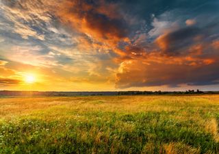 UK temperatures on the rise this week as weather turns settled and sunnier