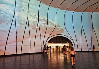 “Cooperaciones invisibles”: la naturaleza de colaborar llega al MUT en formato audiovisual