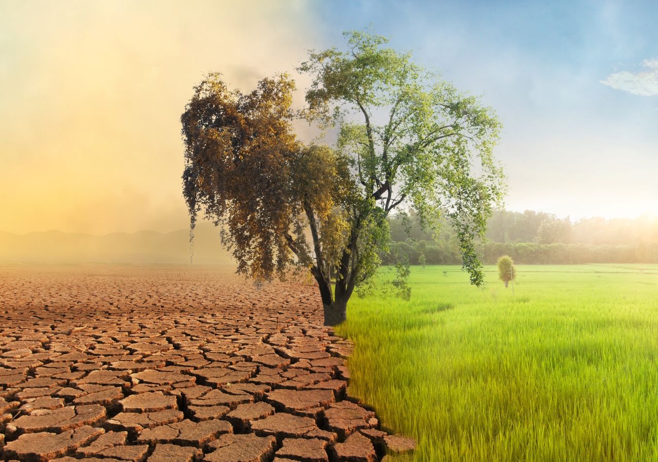 La ciencia es clara y así lo expresan numerosos documentos de la ONU: es indispensable actuar ya para frenar el cambio climático. Las COP son una pieza fundamental para la acción climática.