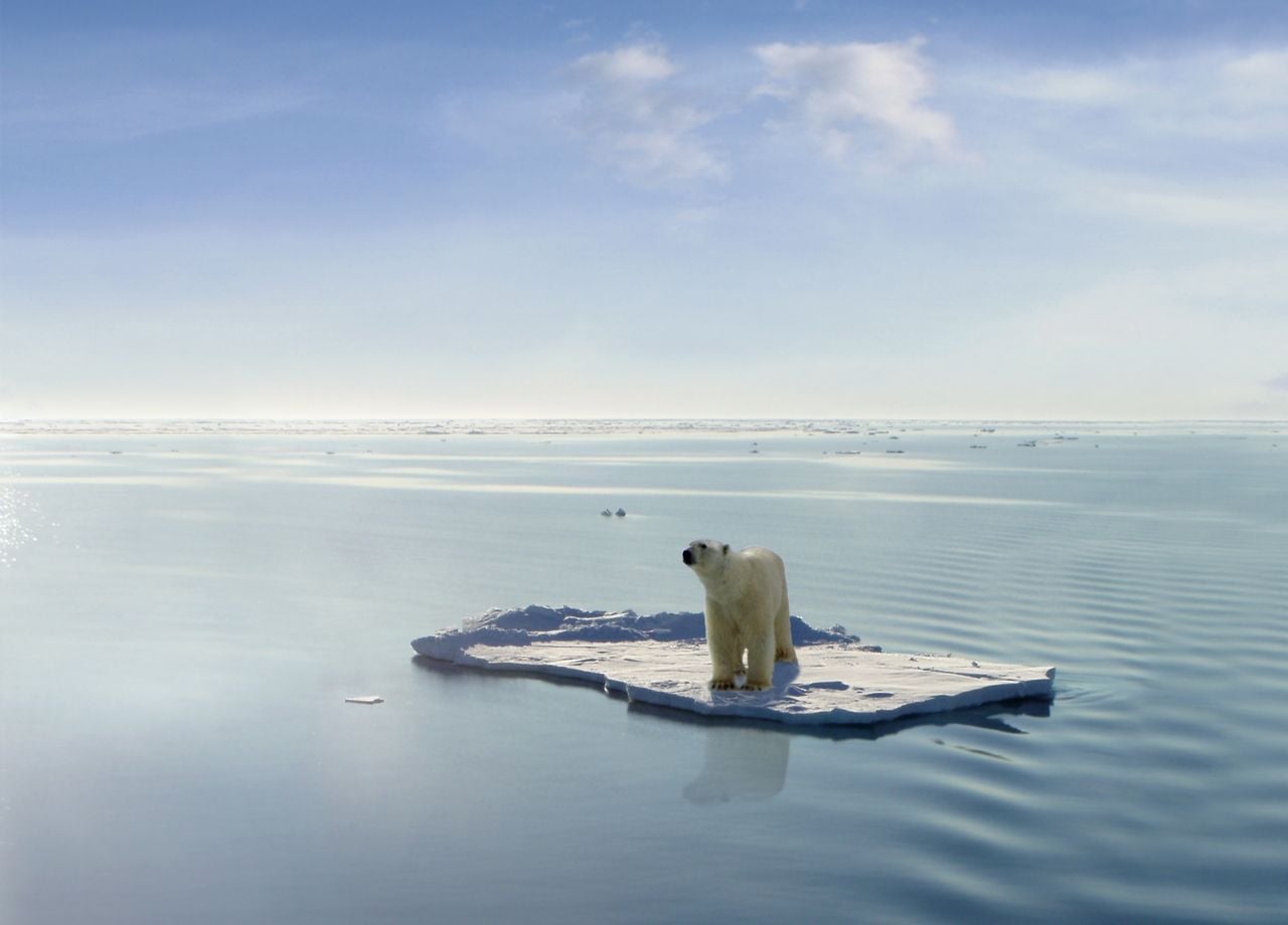 L'objectif de limiter le réchauffement à un seuil symbolique de +1.5°C ne semble aujourd'hui qu'un idylle alors que la COP28 vient de débuter aux Emirats Arabes Unis.