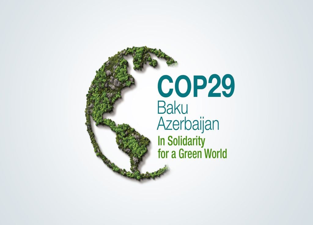 COP29 logo ONU