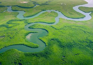 COP30: Umstrittener Klimagipfel im Urwald