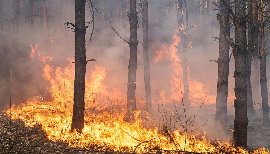 Los peores incendios se han registrado en el norte peninsular