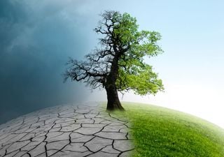 Copernicus confirma que 2025 ser&aacute; uno de los tres a&ntilde;os m&aacute;s c&aacute;lidos registrados