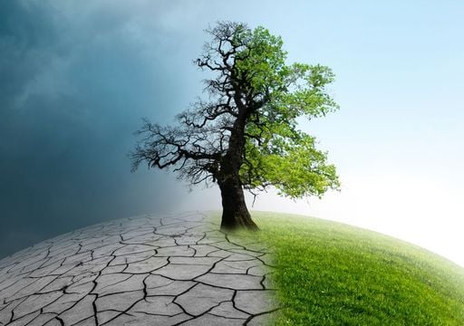 Copernicus confirma que 2025 ser&aacute; uno de los tres a&ntilde;os m&aacute;s c&aacute;lidos registrados