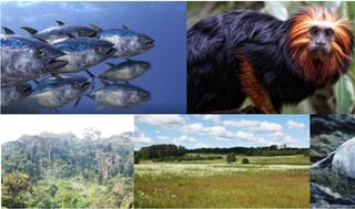 Copernicus firma un nuevo contrato para proteger la biodiversidad