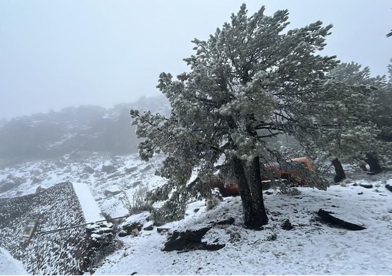 Segunda nevada registrada en el Cofre de Perote, Veracruz, lo cubre por completo de blanco