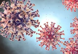 Coronavirus, temperature più alte ne ridurranno l'espansione?