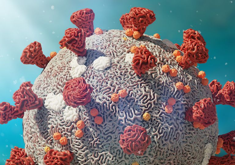 Coronavirus Coronavirus