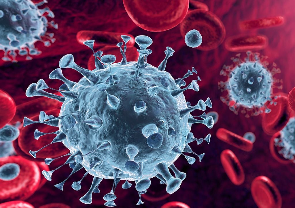 Coronavirus Argentina Coronavirus Argentina