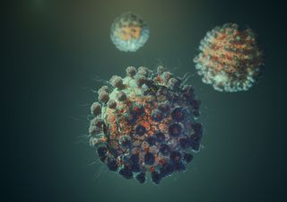 ¿Ayudará la primavera a disminuir los contagios por coronavirus?