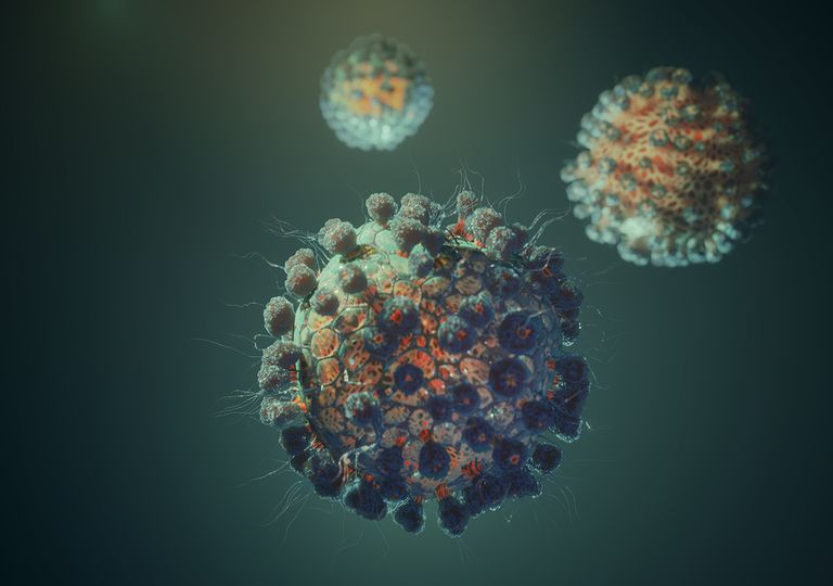 Coronavirus Coronavirus