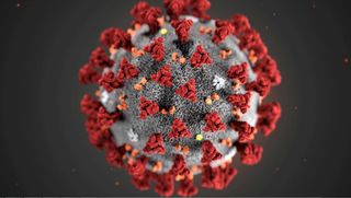 Cómo el coronavirus está (y no está) afectando al medio ambiente