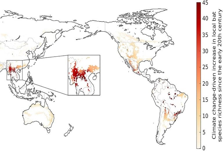 Increase in local bat species richness due to climate change.  Source: Robert M. Beyer, Andrea Manica, Camilo Mora (authors)