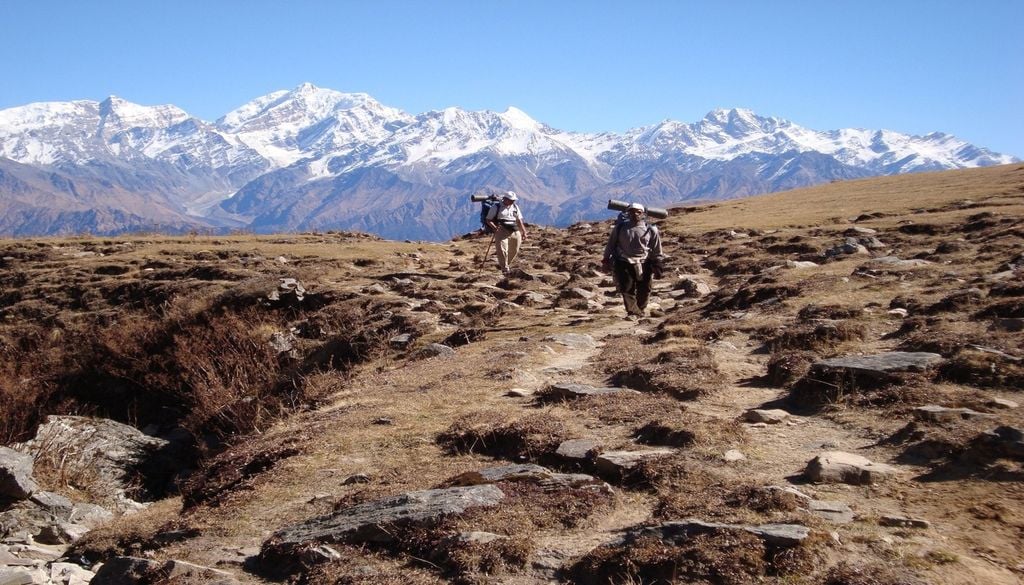 Avoir une capacité d'adaptation étonnante pour la haute altitude
