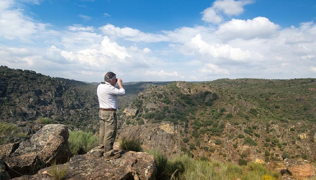 Portugal e Espanha vão unir esforços para restaurar o valor ecológico dos territórios do Oeste ibérico. Foto: Projeto Corredor Biológico Hispanoluso