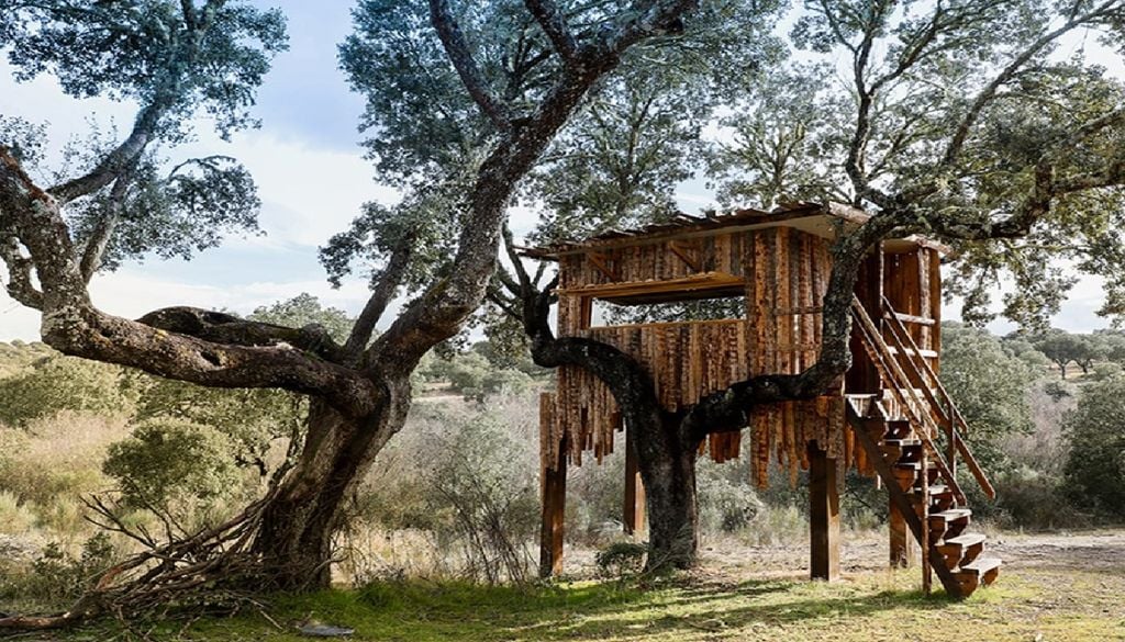 Caminhadas, nas quais os participantes poderão optar por explorar a natureza a pé, a cavalo ou de bicicleta, vão ser o ponto central do ecoturismo que Espanha e Portugal querem dinamizar. Foto: Projeto Corredor Biológico Hispanoluso