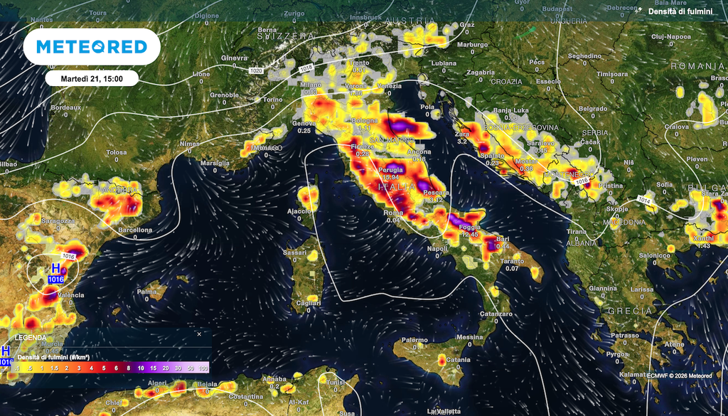 Densità di fulmini prevista martedì 21 luglio da ECMWF