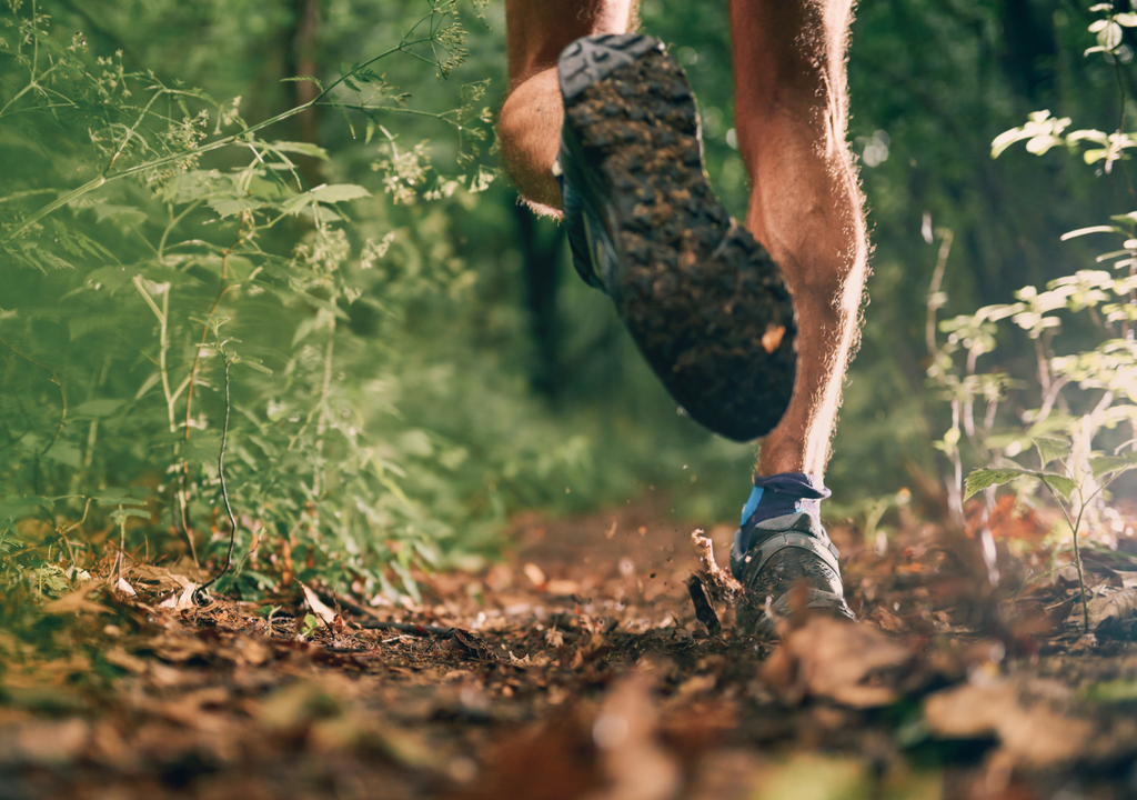 Mais de metade das provas (53,8%) realiza-se em municípios com menos de 5000 habitantes, demonstrando a forte ligação deste desporto ao mundo rural