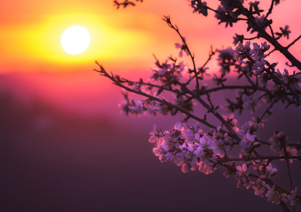 febbraio tramonto ore di luce A febbraio c'è una vera accelerazione nell'aumento delle ore di luce in Italia.