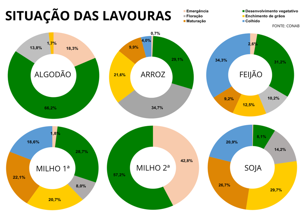 situação das lavouras situação das lavouras