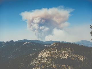 Corte de luz masivo en California ante riesgo grave de incendios