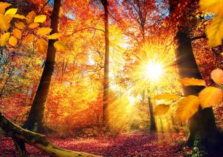 Meteo, cosa ci aspetta nel mese di ottobre? Ecco la linea di tendenza