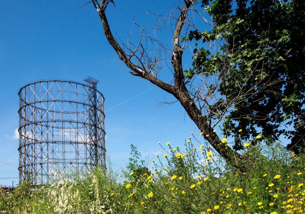 Cosa fare a Roma nel weekend Cosa fare a Roma nel weekend