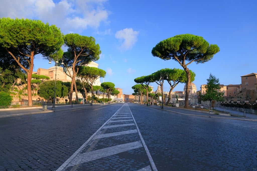 Via dei Fori Imperiali, dove nelle ultime settimane diversi pini centenari sono crollati.